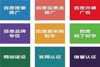 某电商企业如何通过百度竞价广告提升销售额